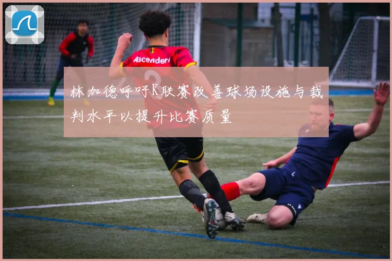 林加德呼吁K联赛改善球场设施与裁判水平以提升比赛质量